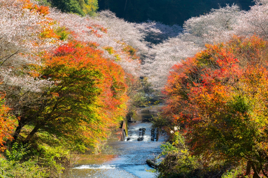 名古屋秋天的风景图片
