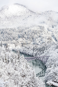 冬季风雪覆盖了河流和桥梁的树木图片