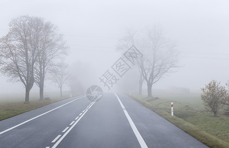 雾背景中的路为你设计图片