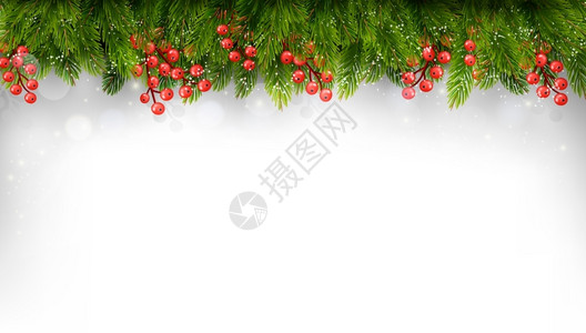 雪树枝装饰圣诞节树枝的假日背景矢量插画
