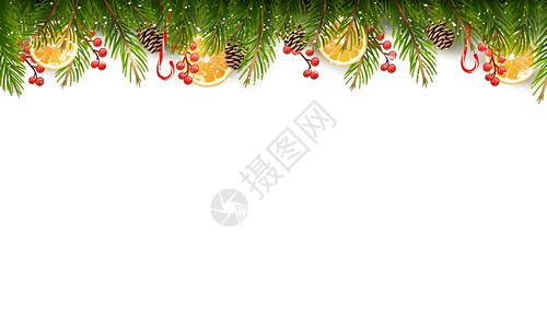 圣诞节树枝的假日背景矢量图片
