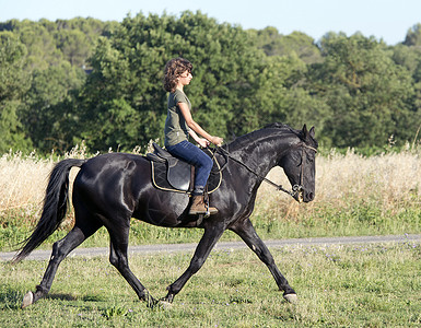 年轻骑马女童及其自然中的黑种马背景图片