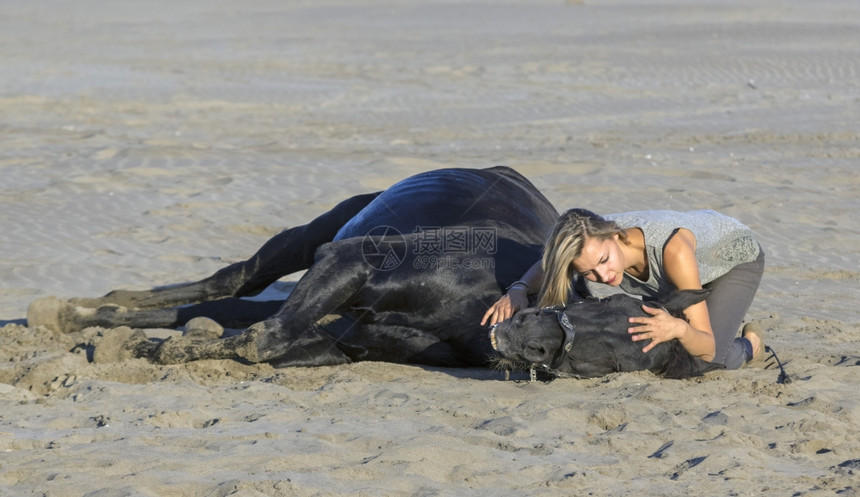 马和她的黑母躺在沙滩上图片