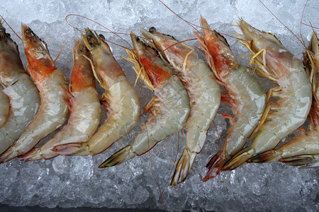 巨大的淡水虾加上泰国市场冰面背景图片