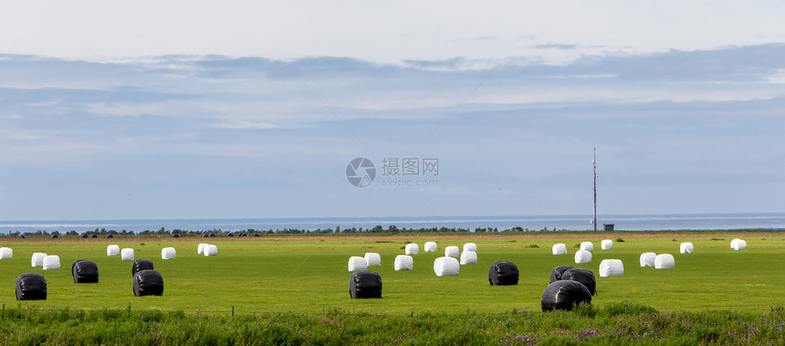 在冰岛田里用塑料包裹密封的Haybales图片