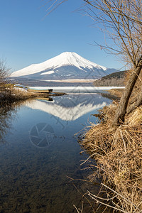 在日本冬季雪反射IcedYamanaka湖的藤冬山图片