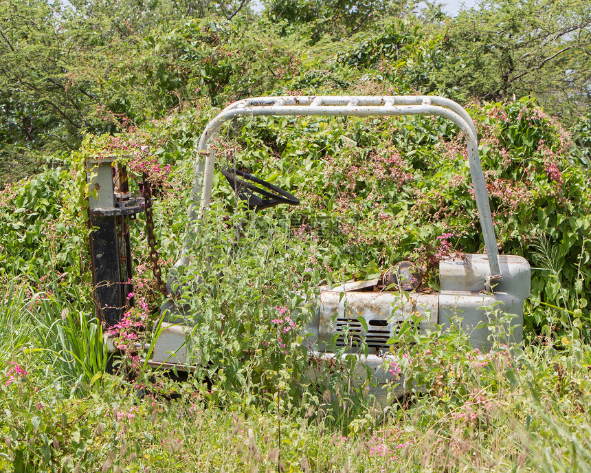 废弃的起吊卡车站在灌木丛中图片