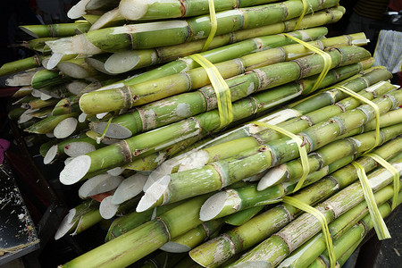 马来西亚Penang市露宿于街头的甘蔗图片