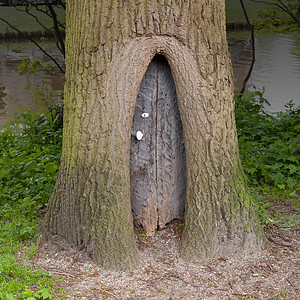 树干里的小木童话故事门图片