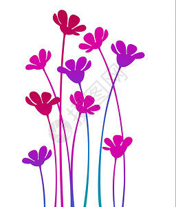 紫色花朵矢量插图图片