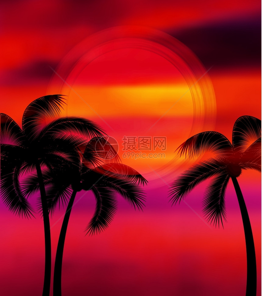 日落和棕榈树剪影图片