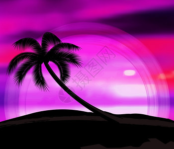 日落和棕榈树剪影图片