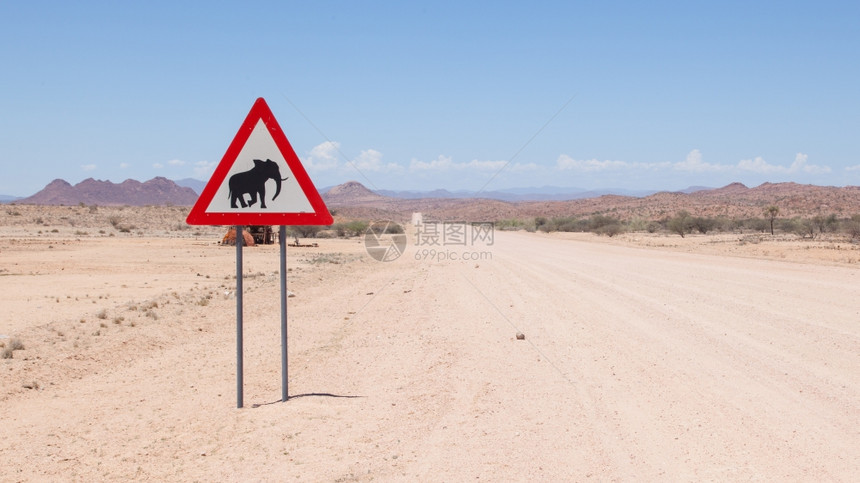 注意大象路牌站在公旁纳米比亚非洲图片