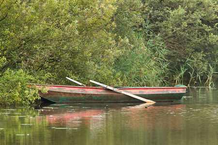 荷兰湖上红船在划船图片
