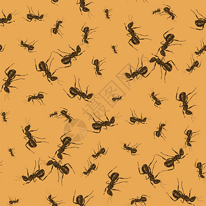 橙色背景昆虫纹理蚂蚁无缝模式图片