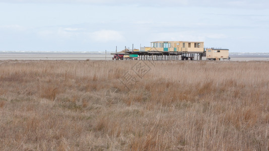 杜奇海滩Waddensea上的一座旧建筑图片