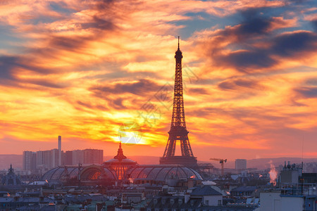 Eiffel高塔和巴黎屋顶的空中景象图片