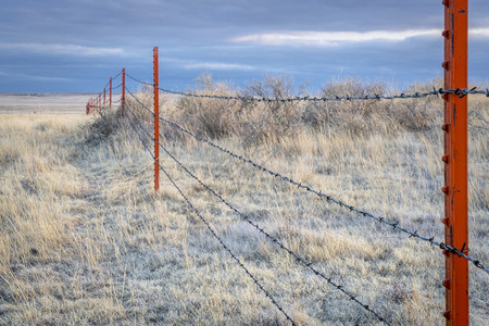 冬季黄昏时在波尼全国草原的刺铁丝网围栏图片