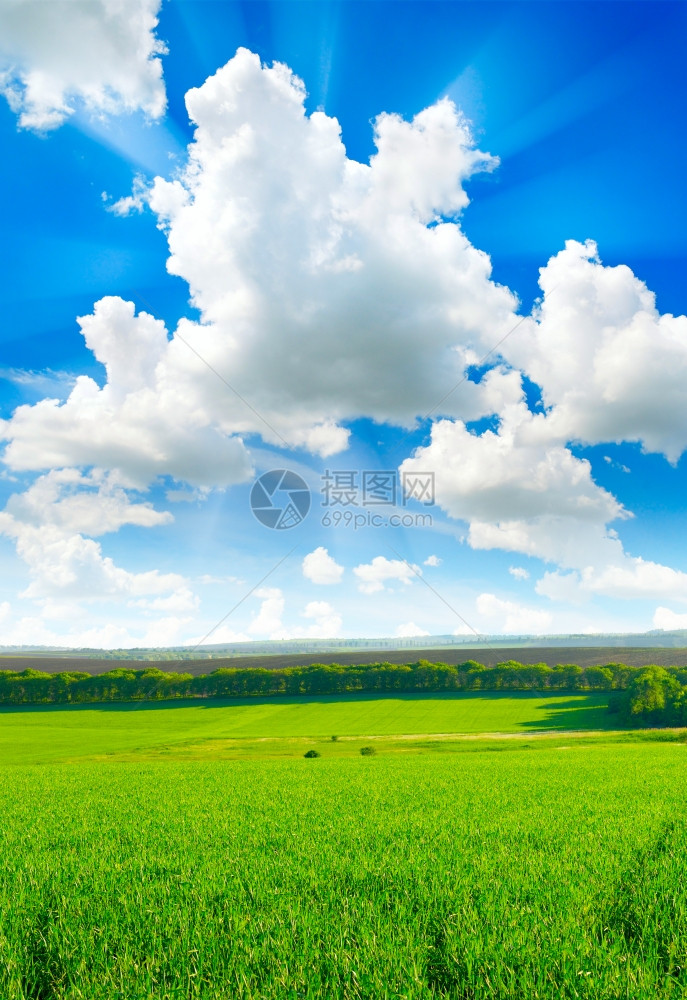 春地和美丽的蓝天空图片