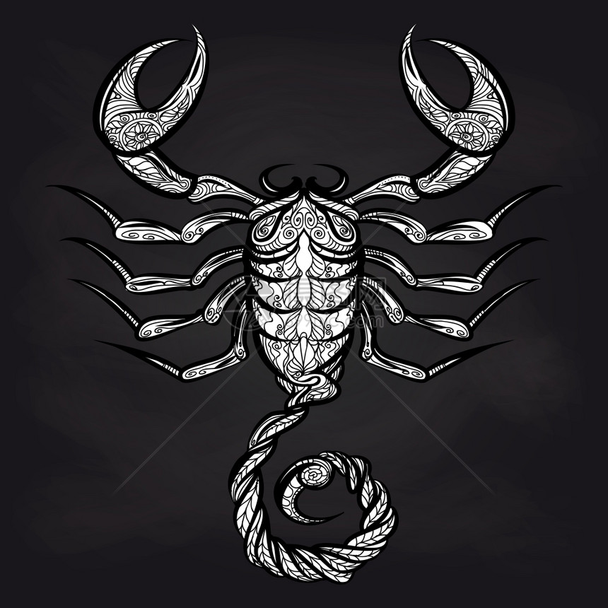 黑板上的多面蝎子黑板背景上的多面蝎子矢量或甲酸Zodiac标志天蝎子设计图片