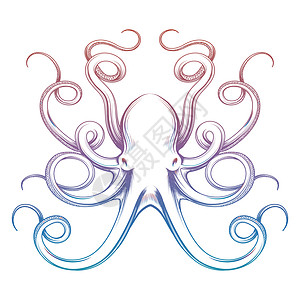 卡通紫色章鱼色彩多的章鱼草图颜色多彩的章鱼草图在白色背景中被孤立矢量插图背景