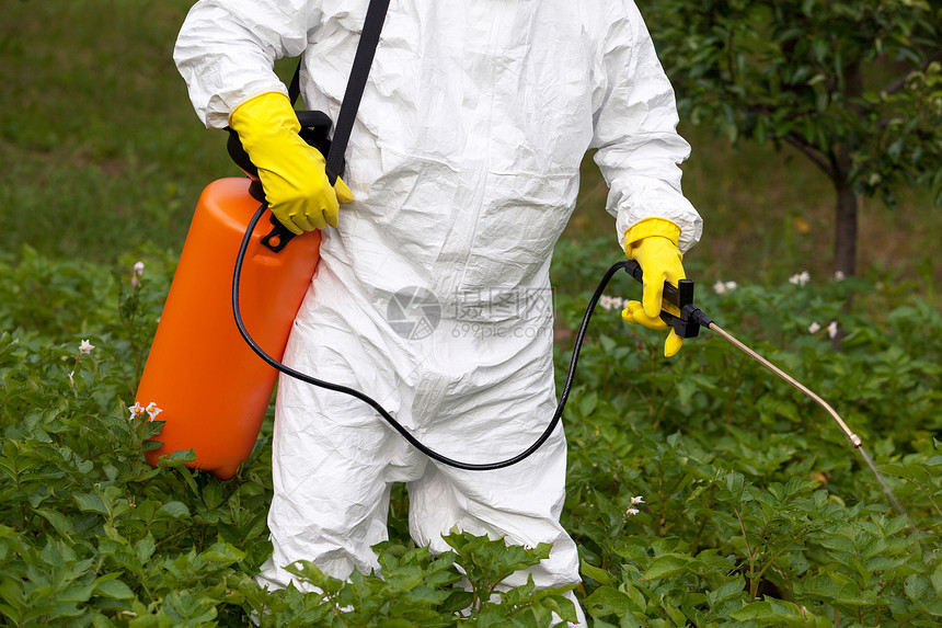 在菜园喷洒有毒杀虫剂或的人图片