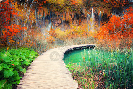 美丽的秋林瀑布图片