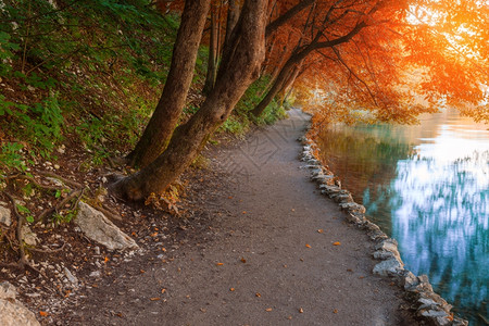 秋季城市红树公园图片