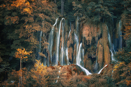普利特维克美丽的秋天森林瀑布克罗地亚普利维茨公园背景
