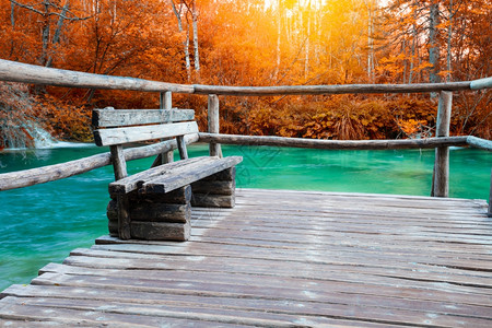 普特列维采国家公园美丽的红色和黄森林公园配有木板凳背景