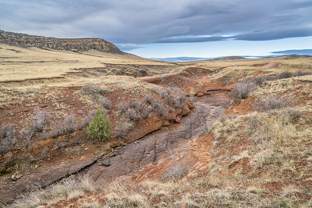 北科罗拉多山丘初春风景的干旱公园溪和草原图片