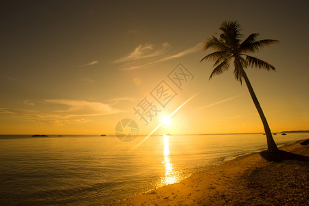斯里兰卡热带海滩图片