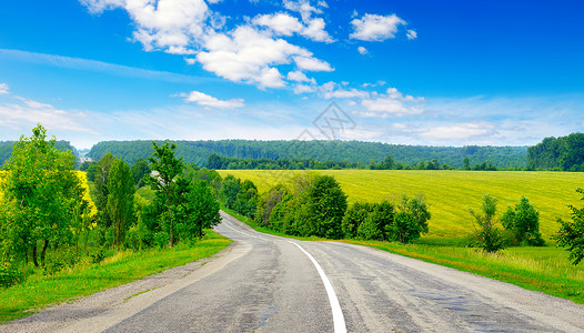 绿色田地中的农村铺路公背景图片