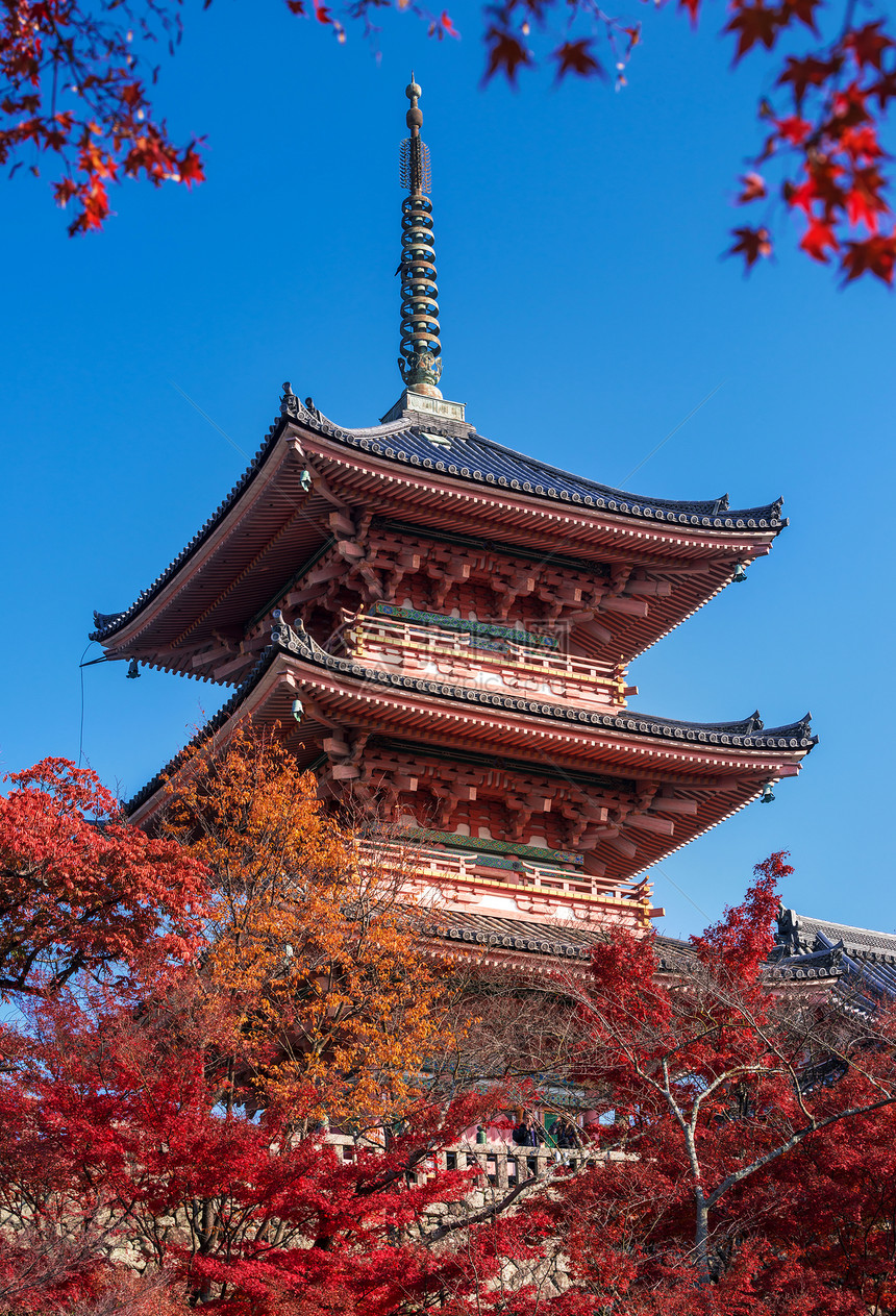 日本秋季清水寺图片