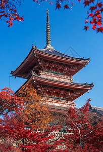 道教素材网站日本秋季清水寺背景