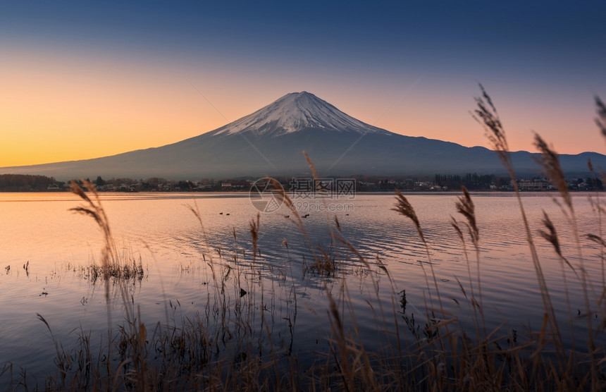 清晨富士山与宁静的湖图片