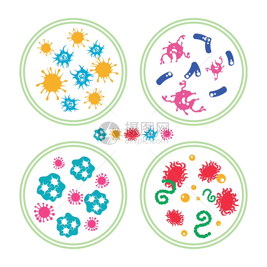 Petri盘中的多色细菌异丙醇和Petri盘中的免疫细菌矢量说明图片