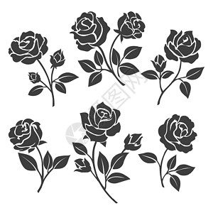 玫瑰图标玫瑰双影图解矢量白色背景上隔绝的玫瑰黑芽和根茎背景