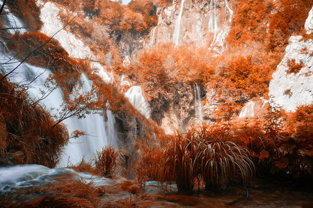 美丽的秋天色彩森林瀑布克罗地亚普利维茨公园图片