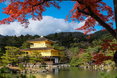京都寺金殿秋天在京都的图片