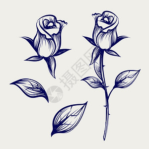 鲜花和叶子玫瑰芽和灰色背景的叶子矢量插图高清图片
