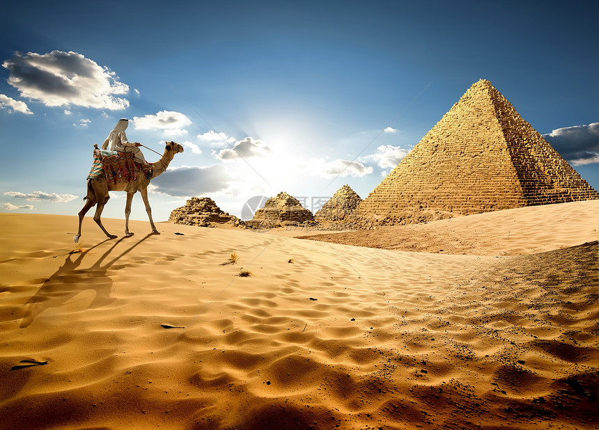 贝都因人在沙漠金字塔附近的骆驼上骑图片