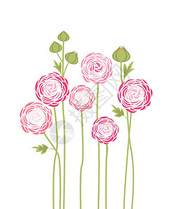 粉红色花束矢量插图背景图片