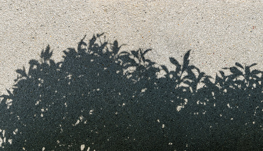 沙砾纹理的树影阴作为背景图片