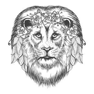 黑白羽毛黑白手绘狮子和鲜花插画插画