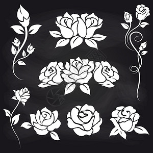 黑白背景上的装饰玫瑰图片