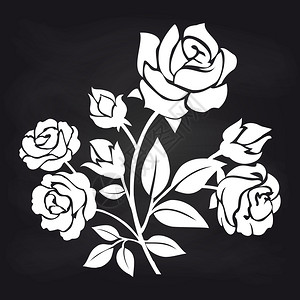 黑板模板黑白背景上的装饰玫瑰插画