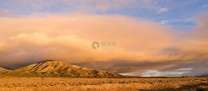 山坡日落橙色花朵旁的全景云图片