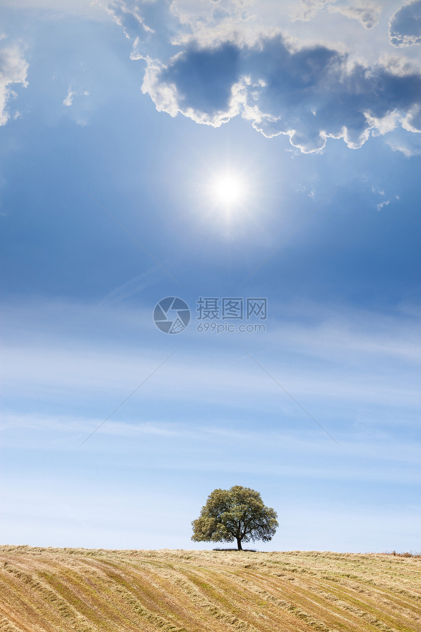 蓝晴的天空上山丘孤树图片