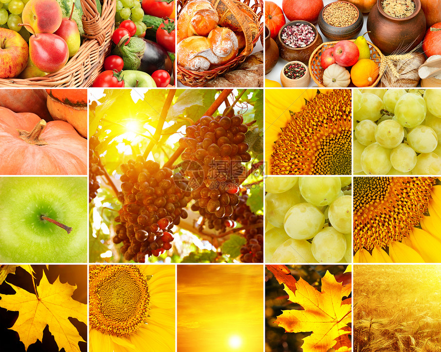 水果蔬菜黄叶的秋天拼图宽版四张皮肤相片图片